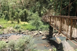 unnamed - 2025-09-23T132936.242