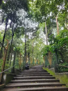 unnamed - 2025-09-23T132947.735